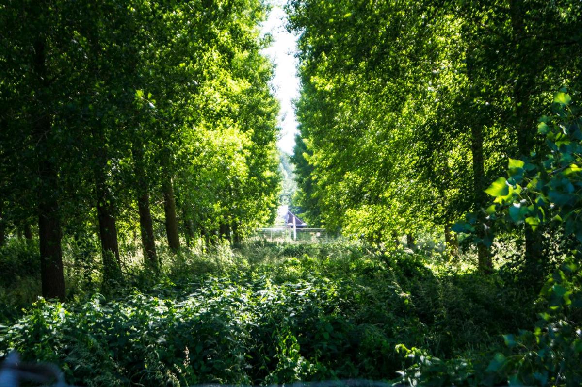 Het parkhuisje - Housity