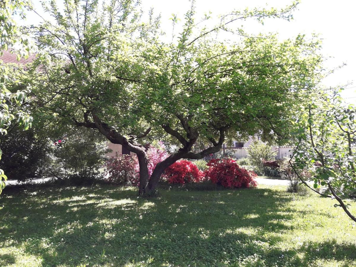 Talonno il frutteto - Housity