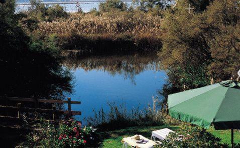 Vue sur la rivière ou le fleuve situé(e) à proximité de l'hôtel