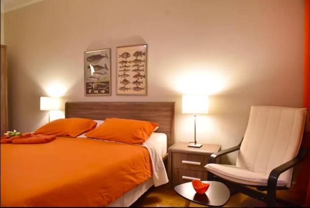 Beautiful, Newly Renovated Flat in Zamalek, Cairo - Housity
