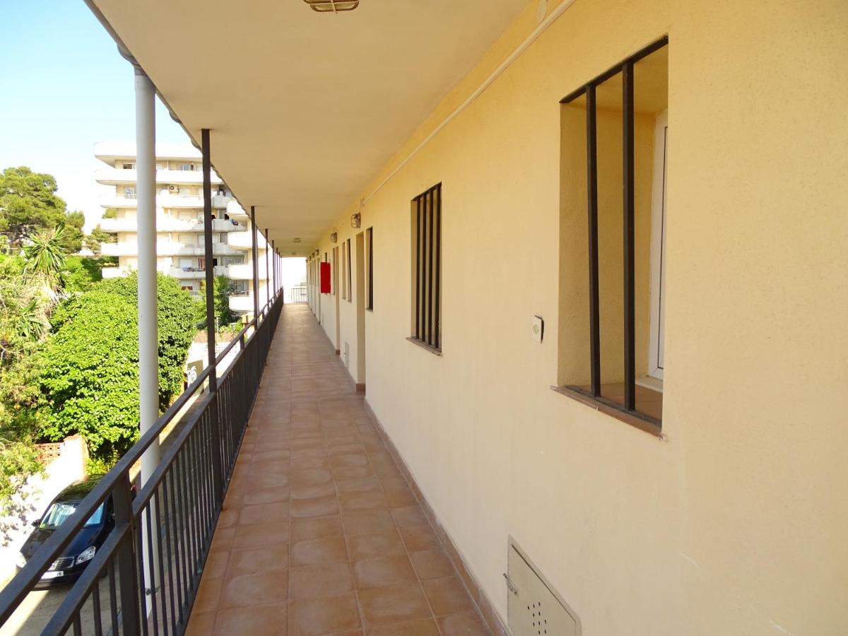Rex Apartment - Housity