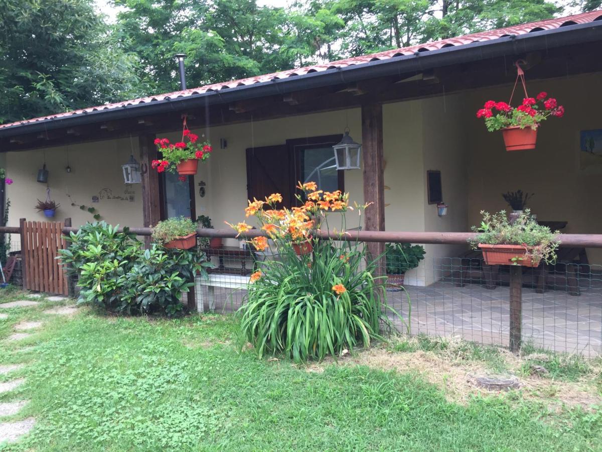 Tiny House - Lake Maggiore -Malpensa Airport - - Housity