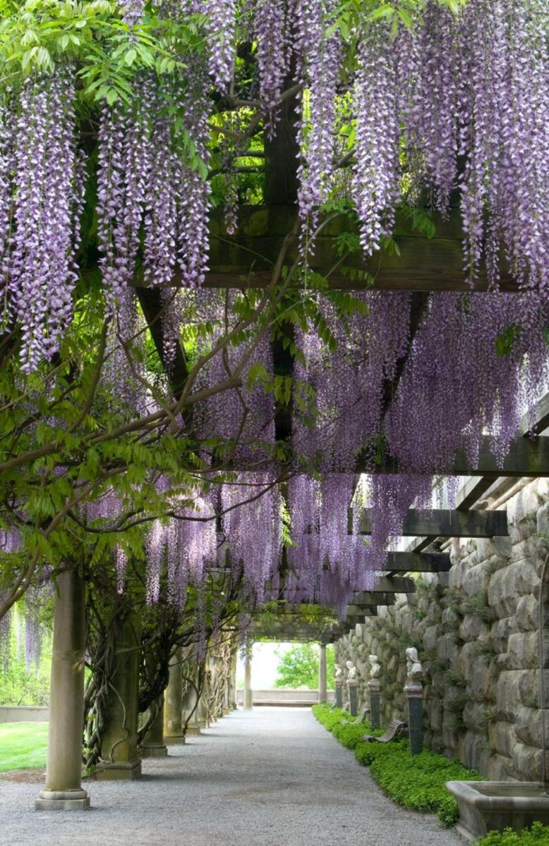 Village Hotel on Biltmore Estate - Housity