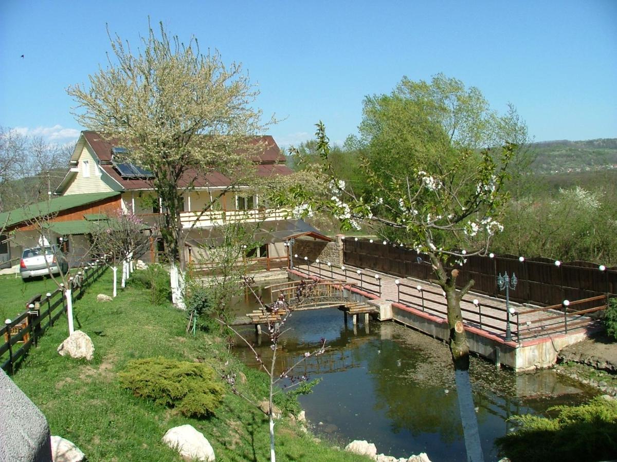 Paradise Garden -Rooms - Housity