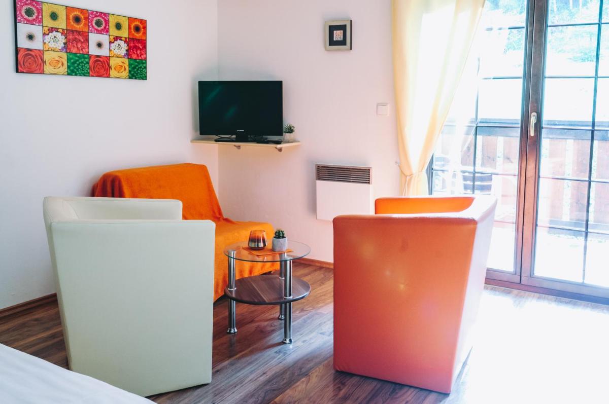 Vila Renáta - Apartmán Renáta 12 - Housity