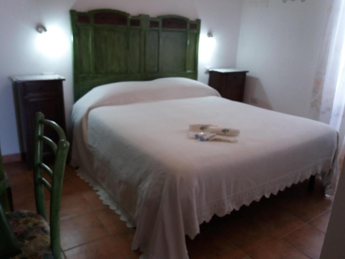 Belli come il Sole - Housity
