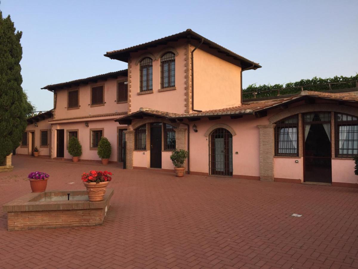 Azienda Agricola Sinisi - Hizvo
