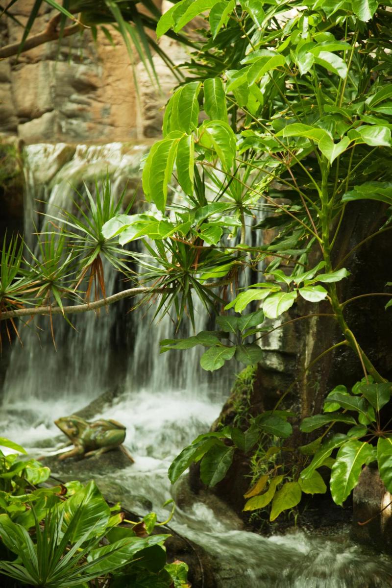 Paisaje cerca de este hotel
