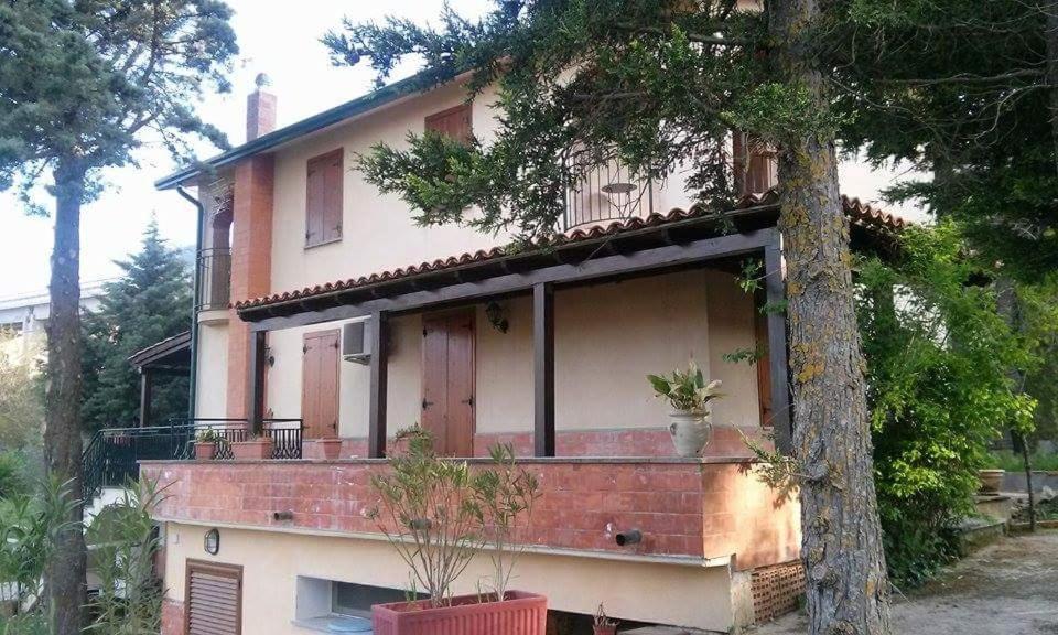 Green house - Housity