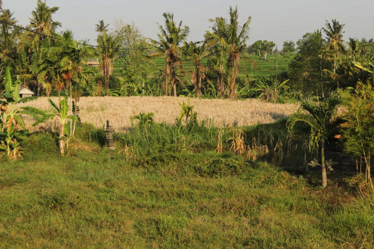 Ancut Sari - Housity