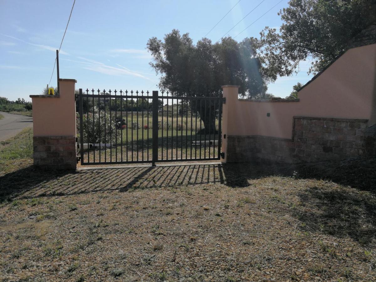 I due Ulivi - strada per La Caletta - Housity