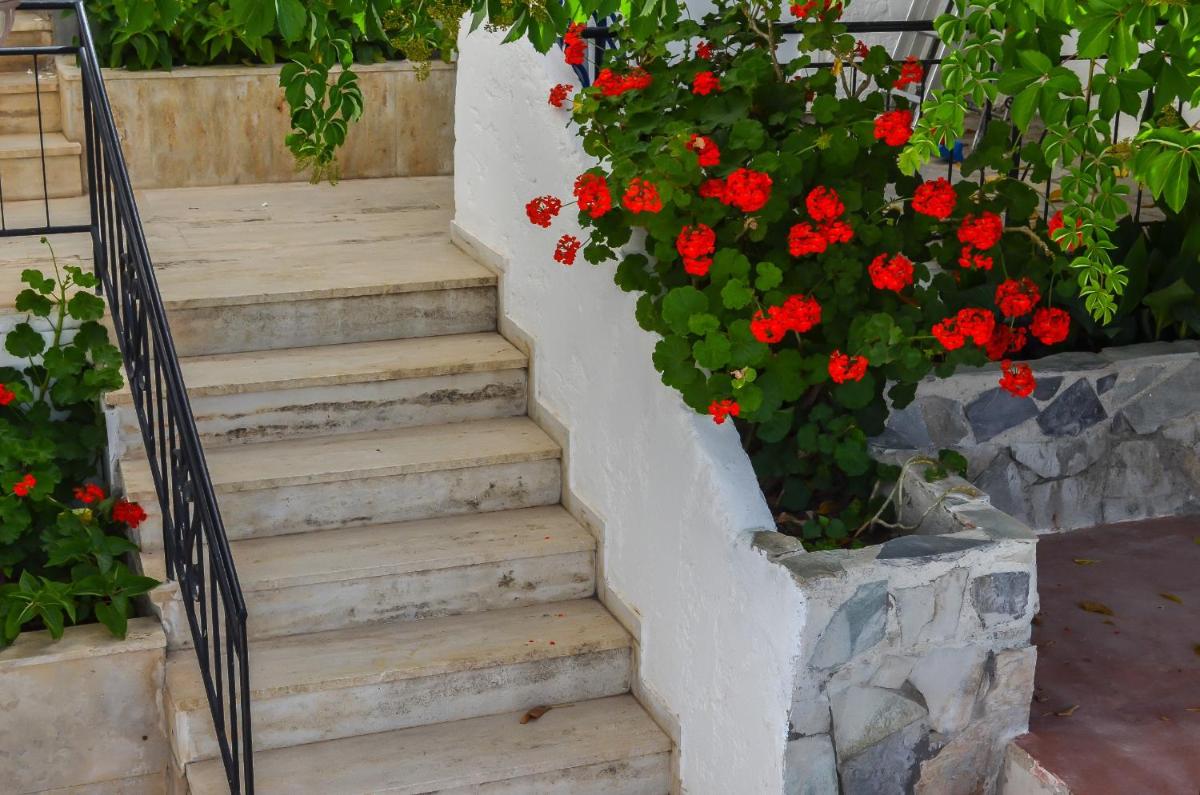 Kalypso - Housity