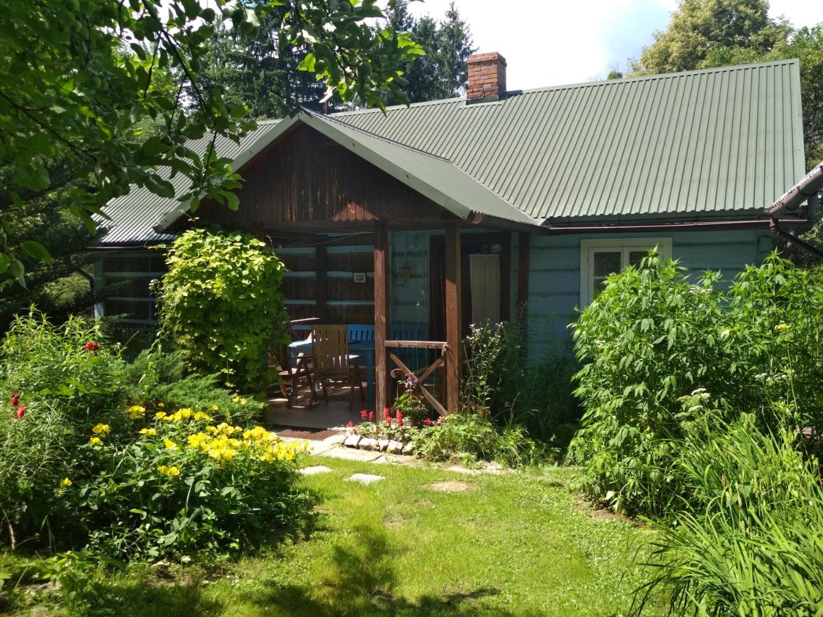 Niebieska Chatka - Housity