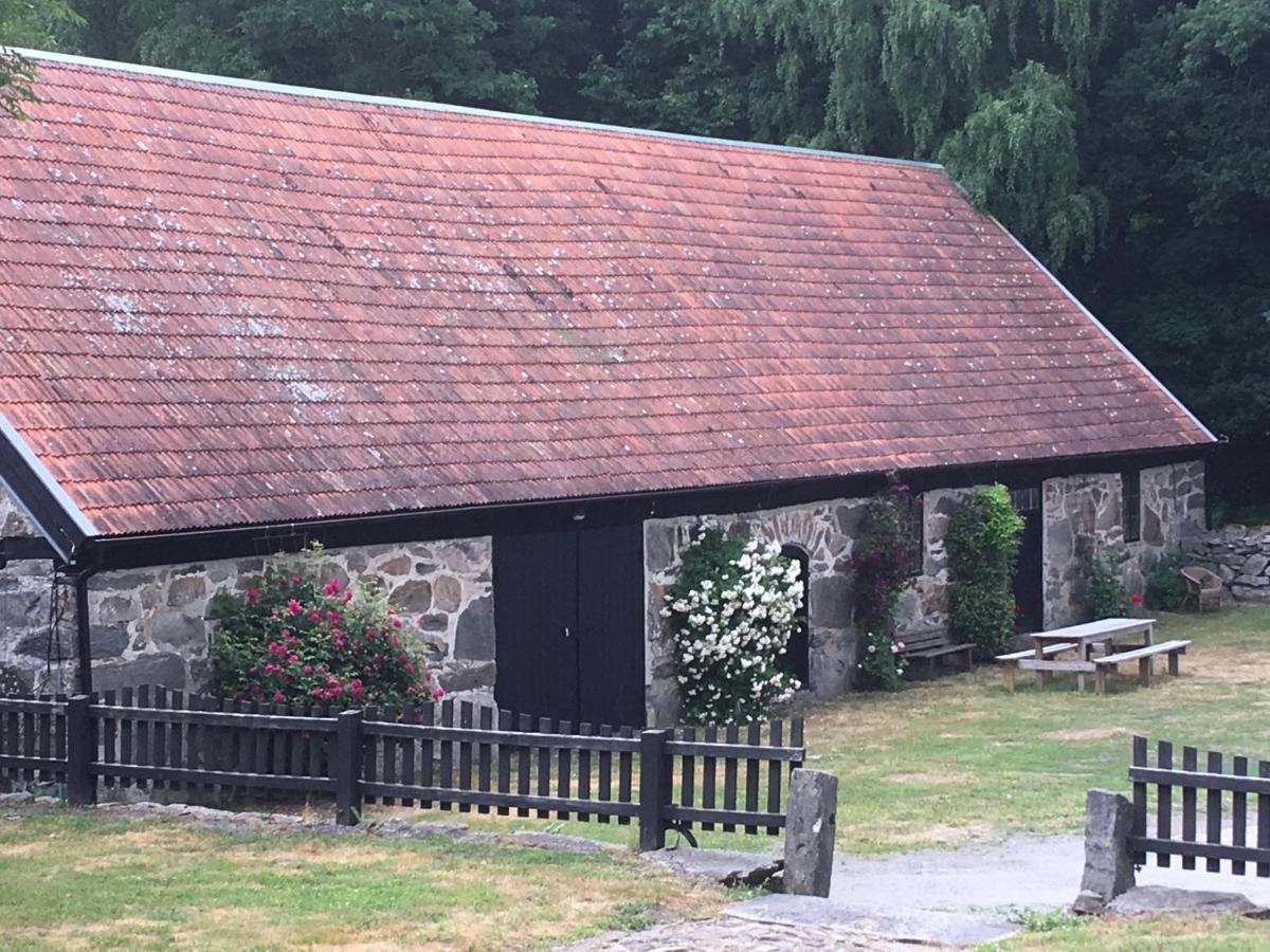 Stenlängan Lodge - Housity