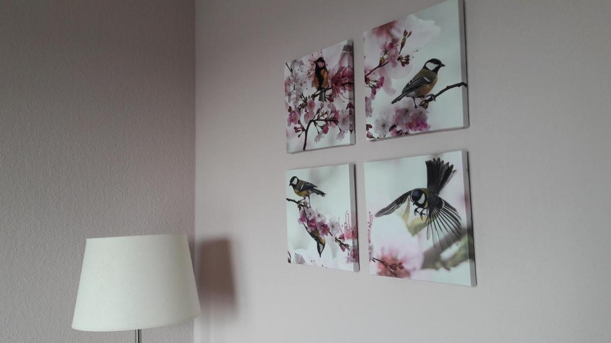 Ferienwohnung Sayntalblick - Housity