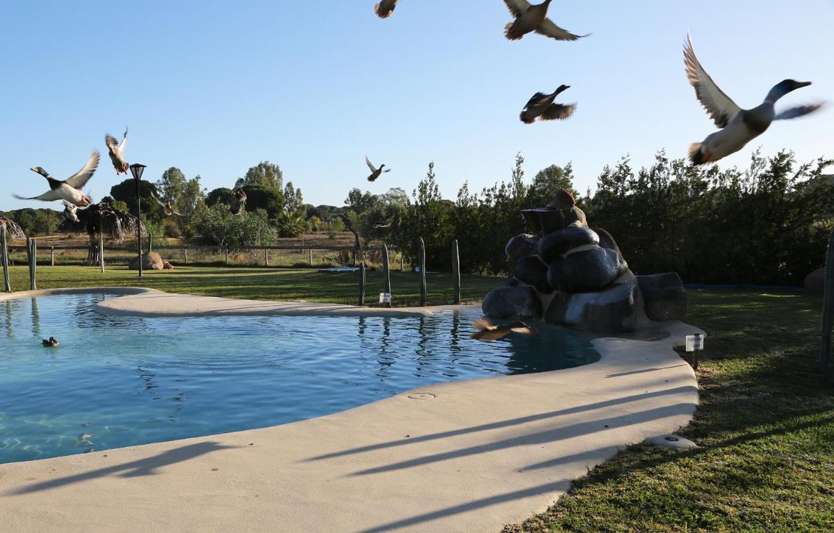 Ardea Purpurea Hotel Lodge & Restaurant - Housity