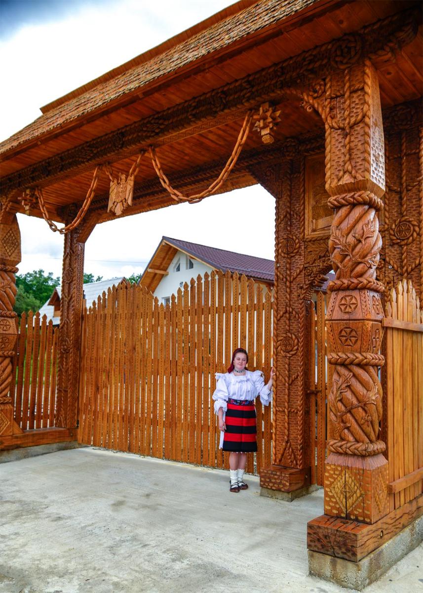 Zestrea Brebului - Housity