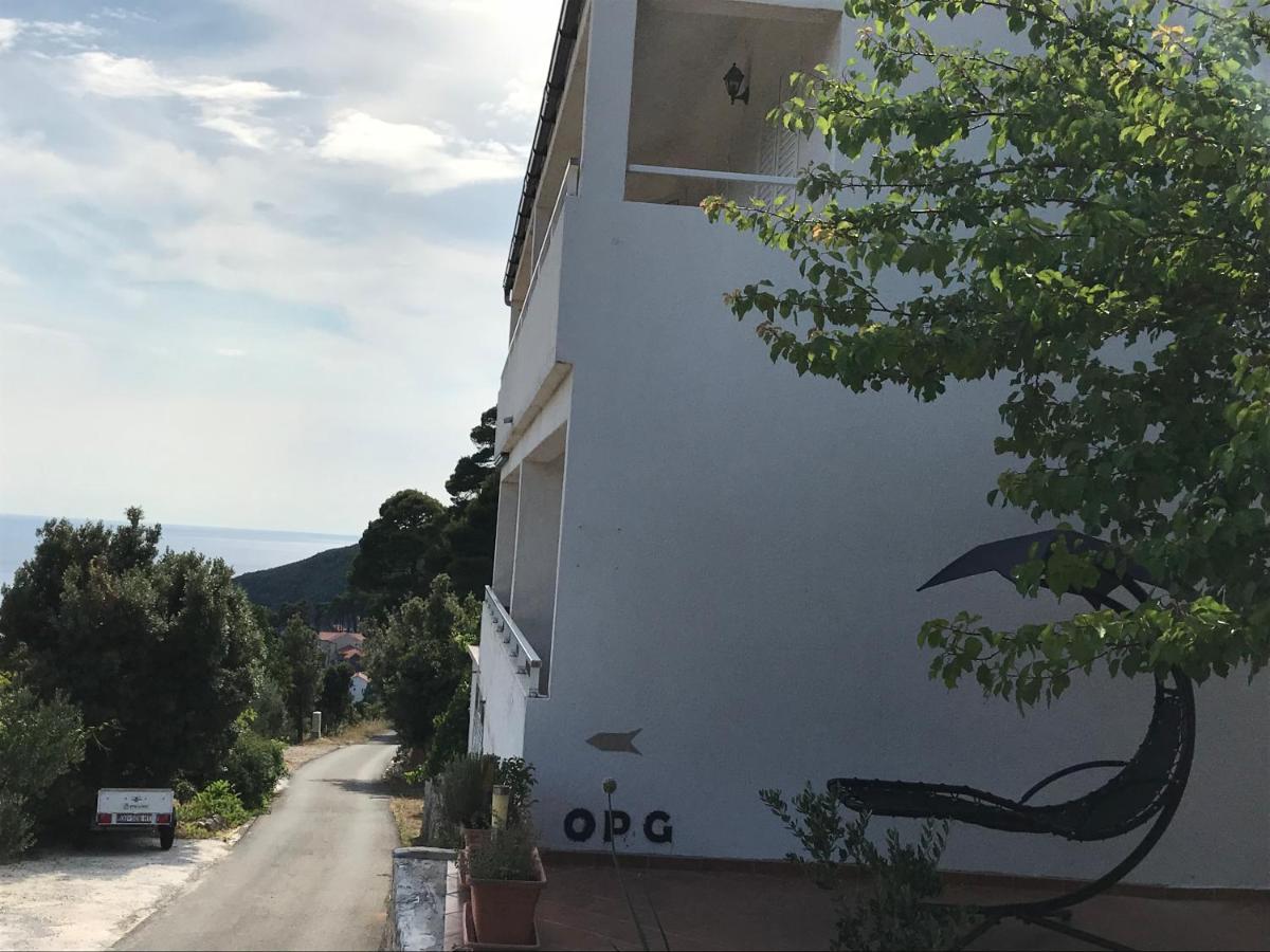 Apartment Jane - Housity