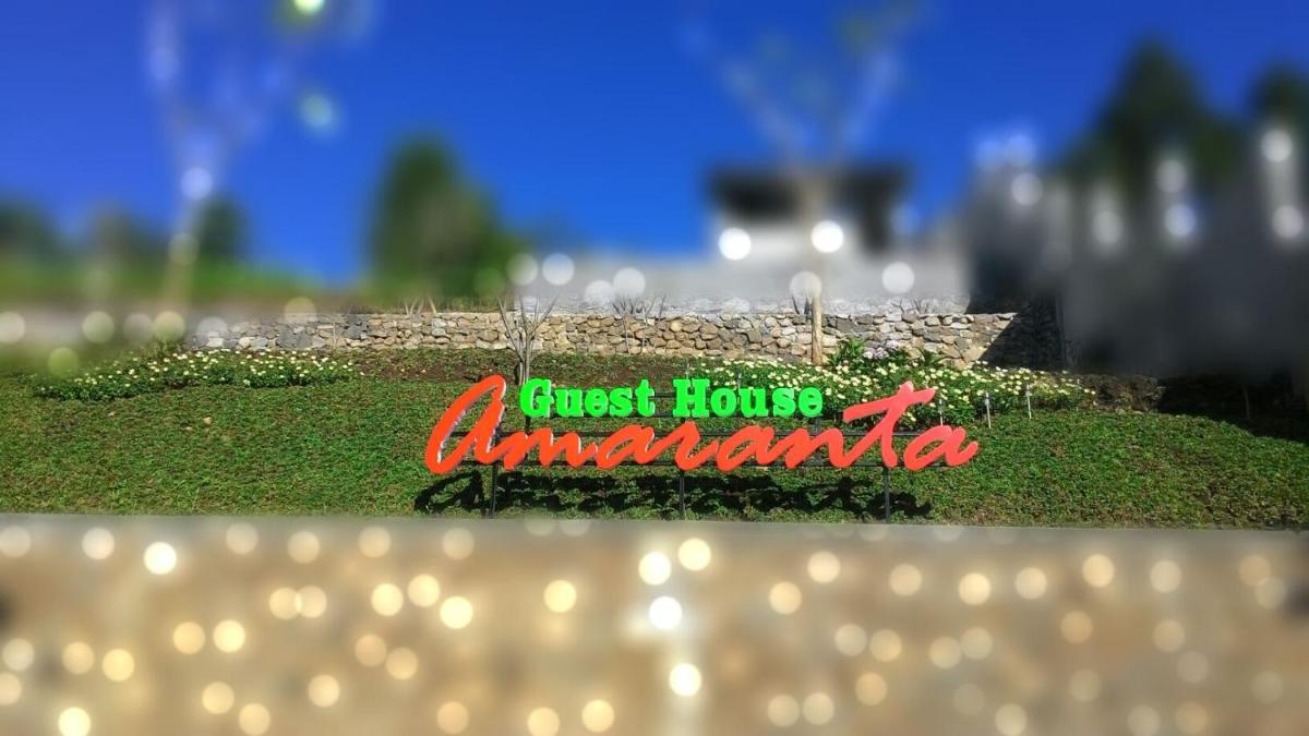 Amaranta Guest House - Housity