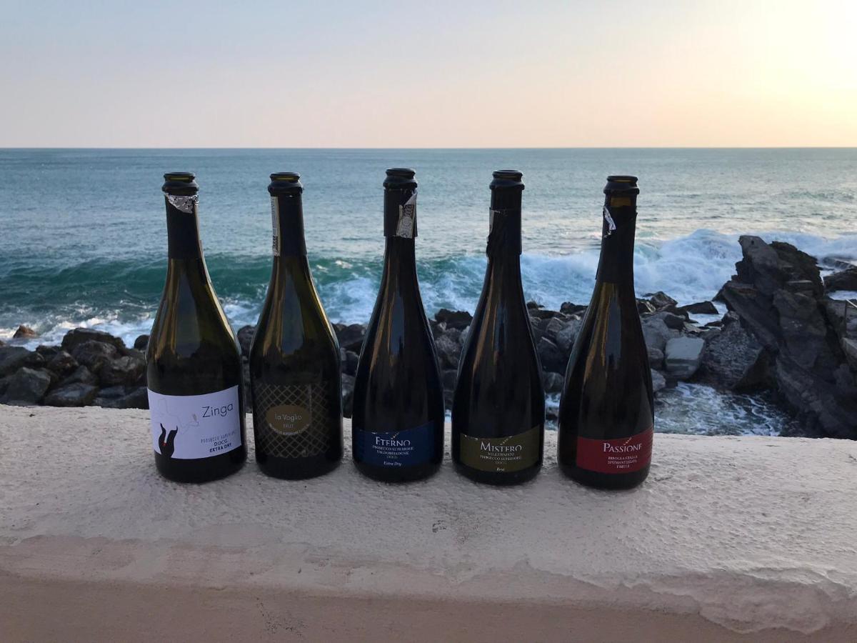 Casa Barzan - Housity