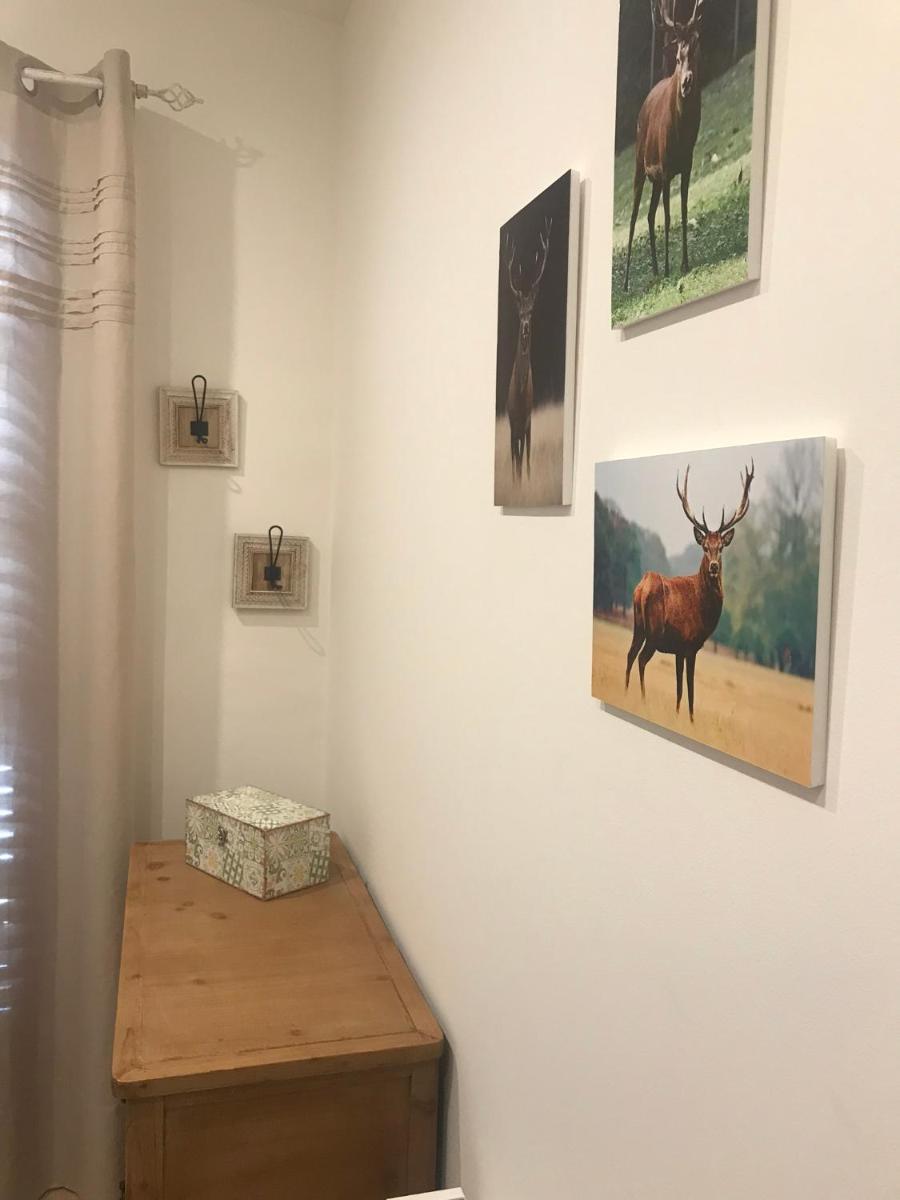 Apartament Neret II - Housity