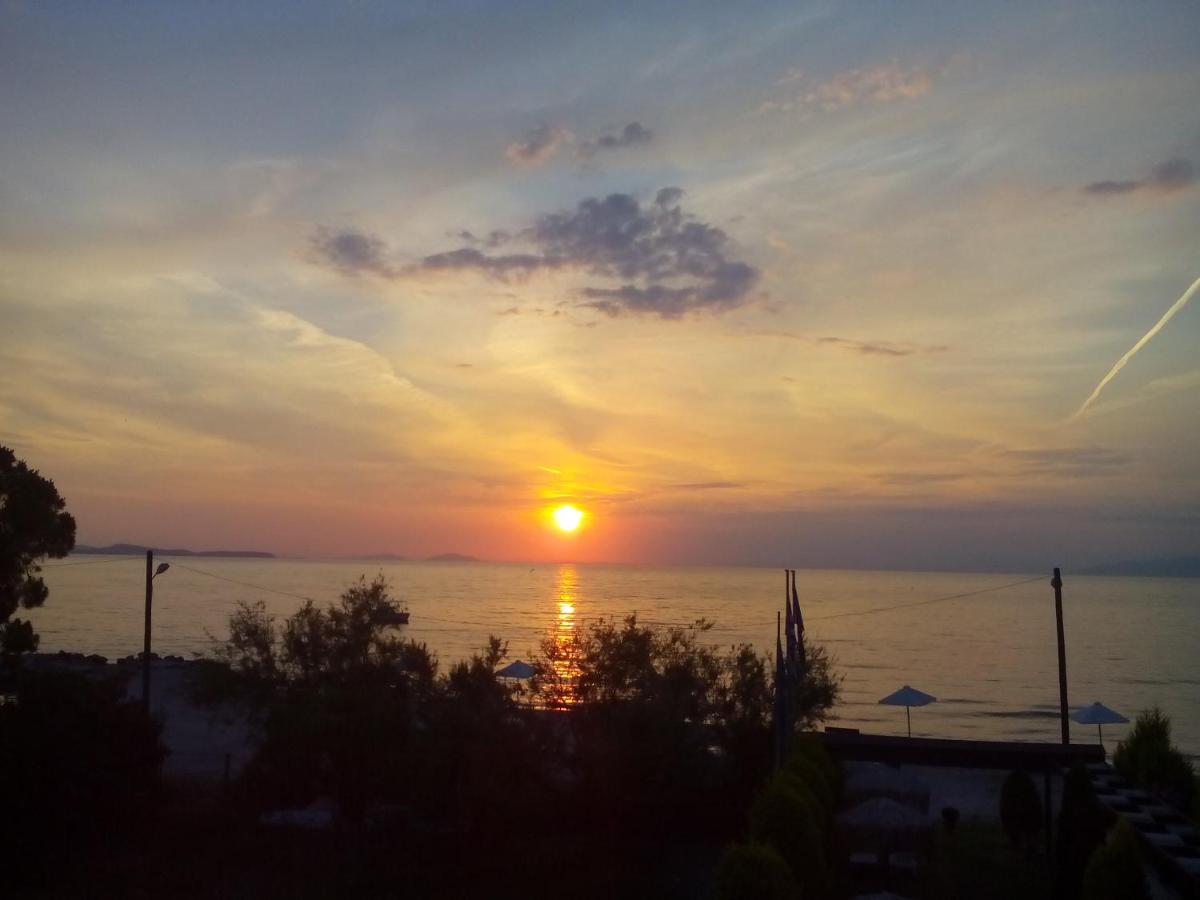 Hotel Dimitra - Housity