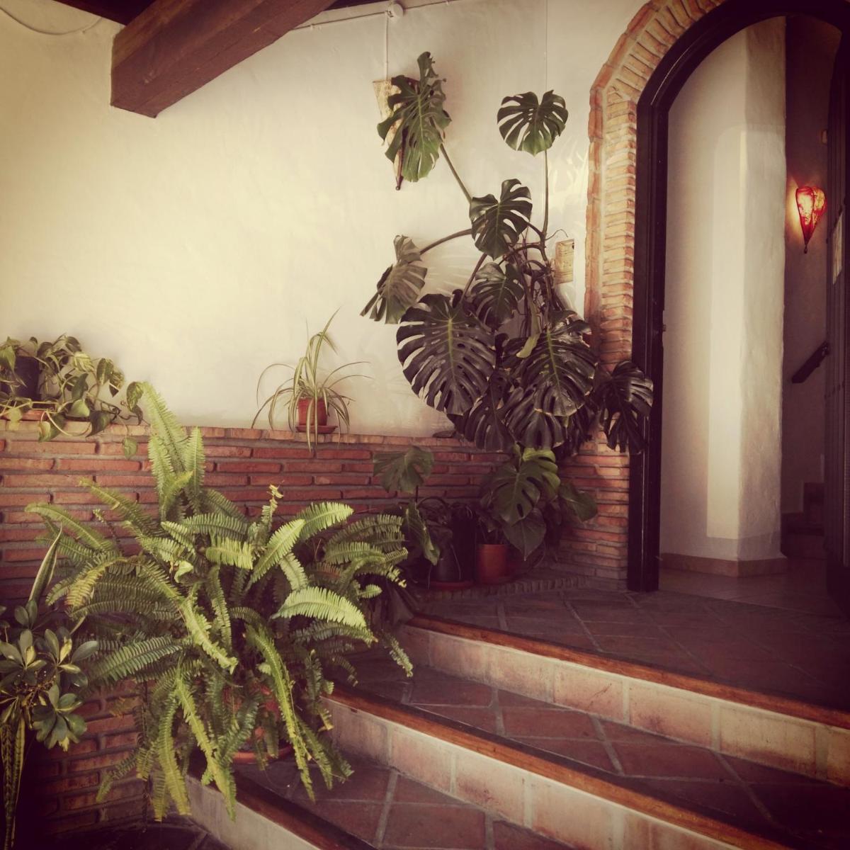 Casa Lareymora - Housity