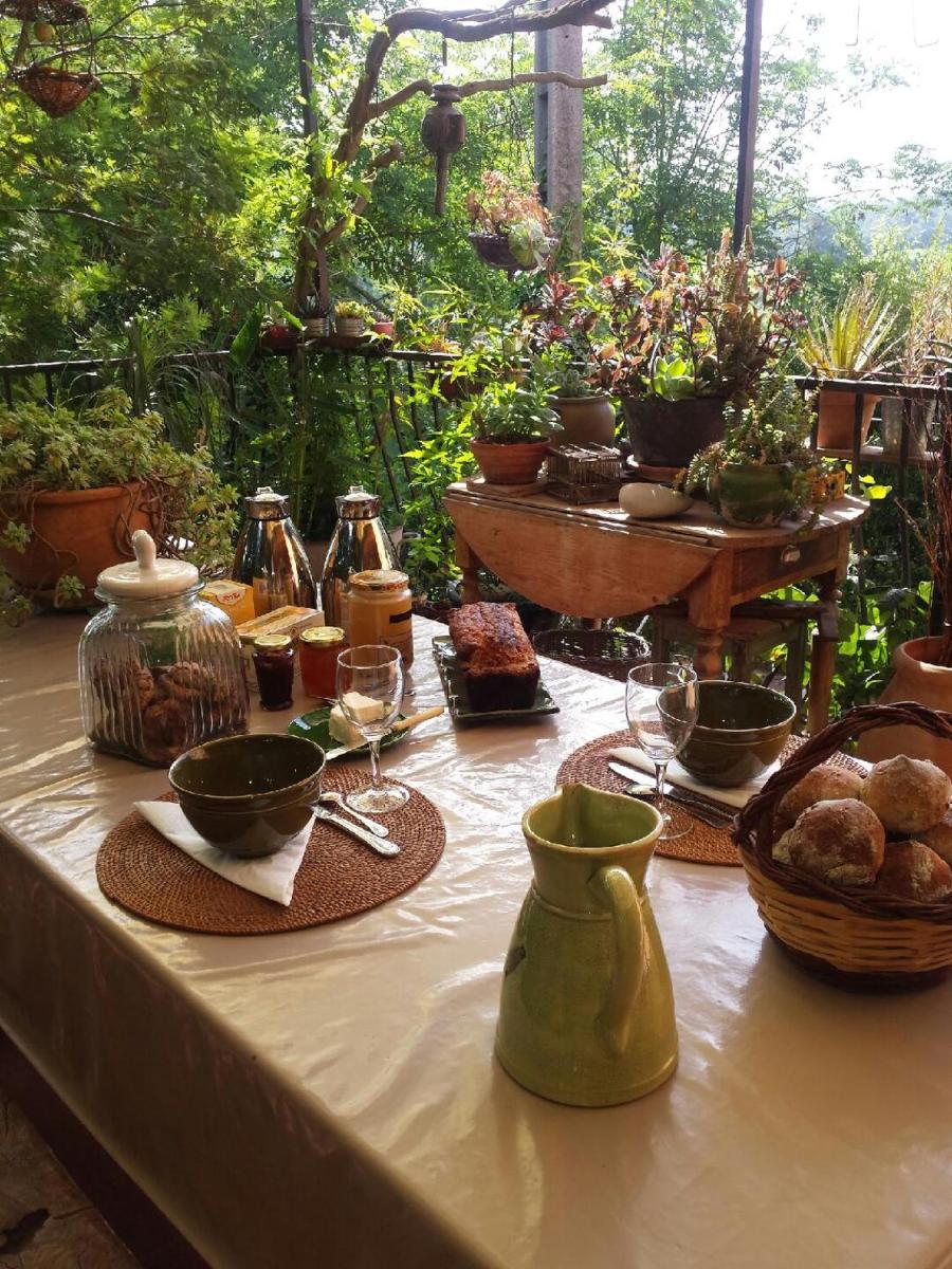 Les anes de petit jean - Housity