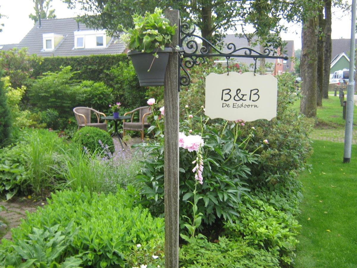 B&B De Esdoorn - Housity
