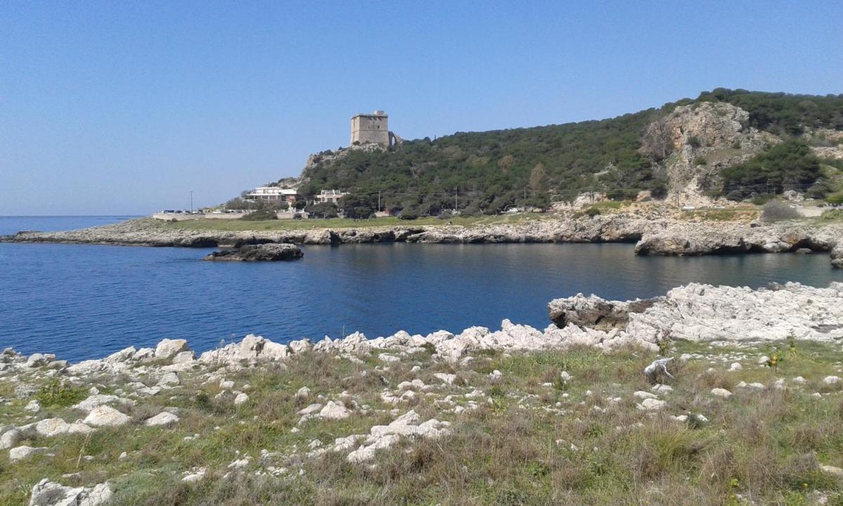Villa Belvedere - Housity