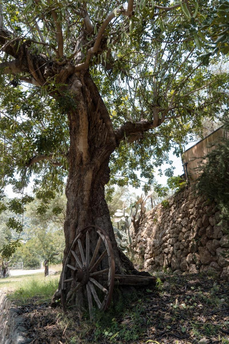 Alfabia Nou Agroturismo - Housity