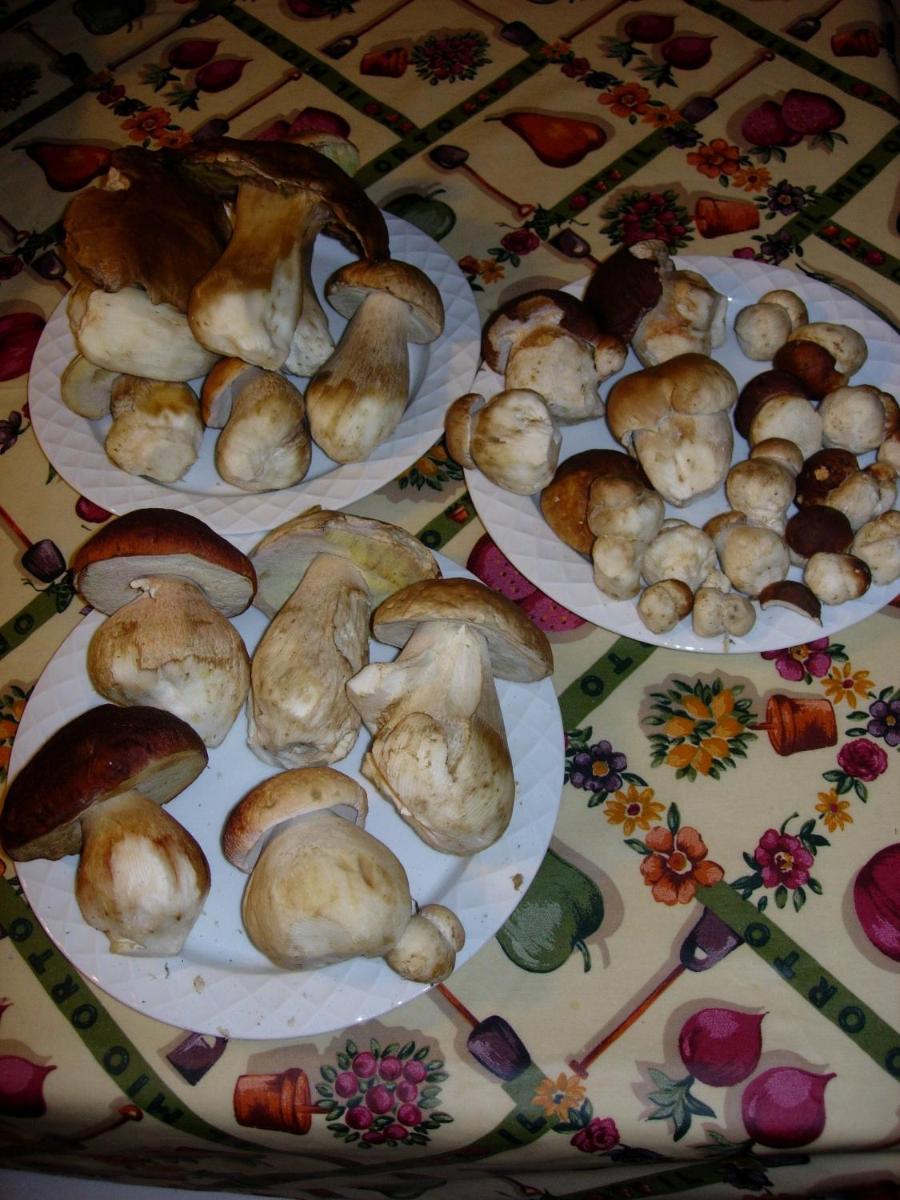 Il Paradiso monolocale Cottage - Housity