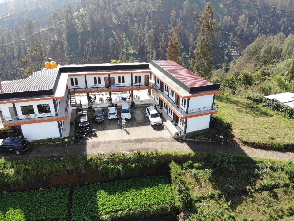 Bromo Backpacker Tosari - Housity