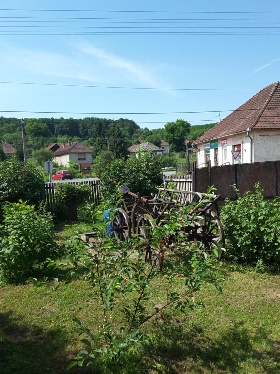 Ibolya apartman - Housity