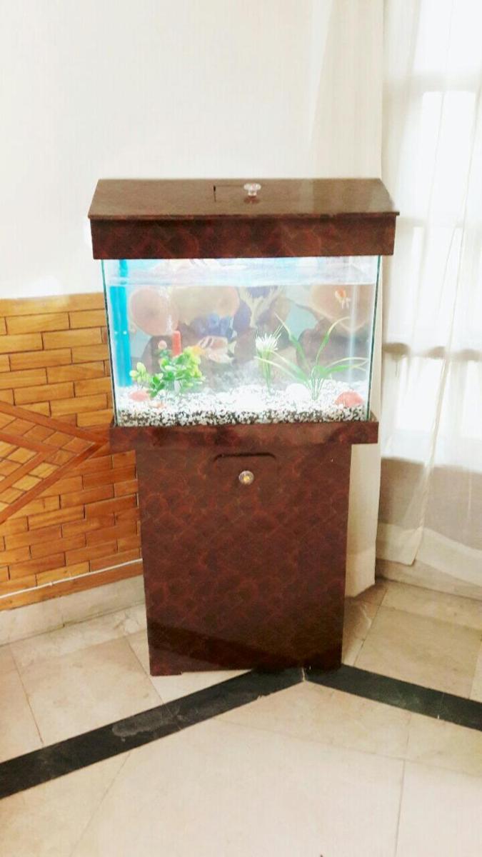 Islamabad Royal Inn - Housity