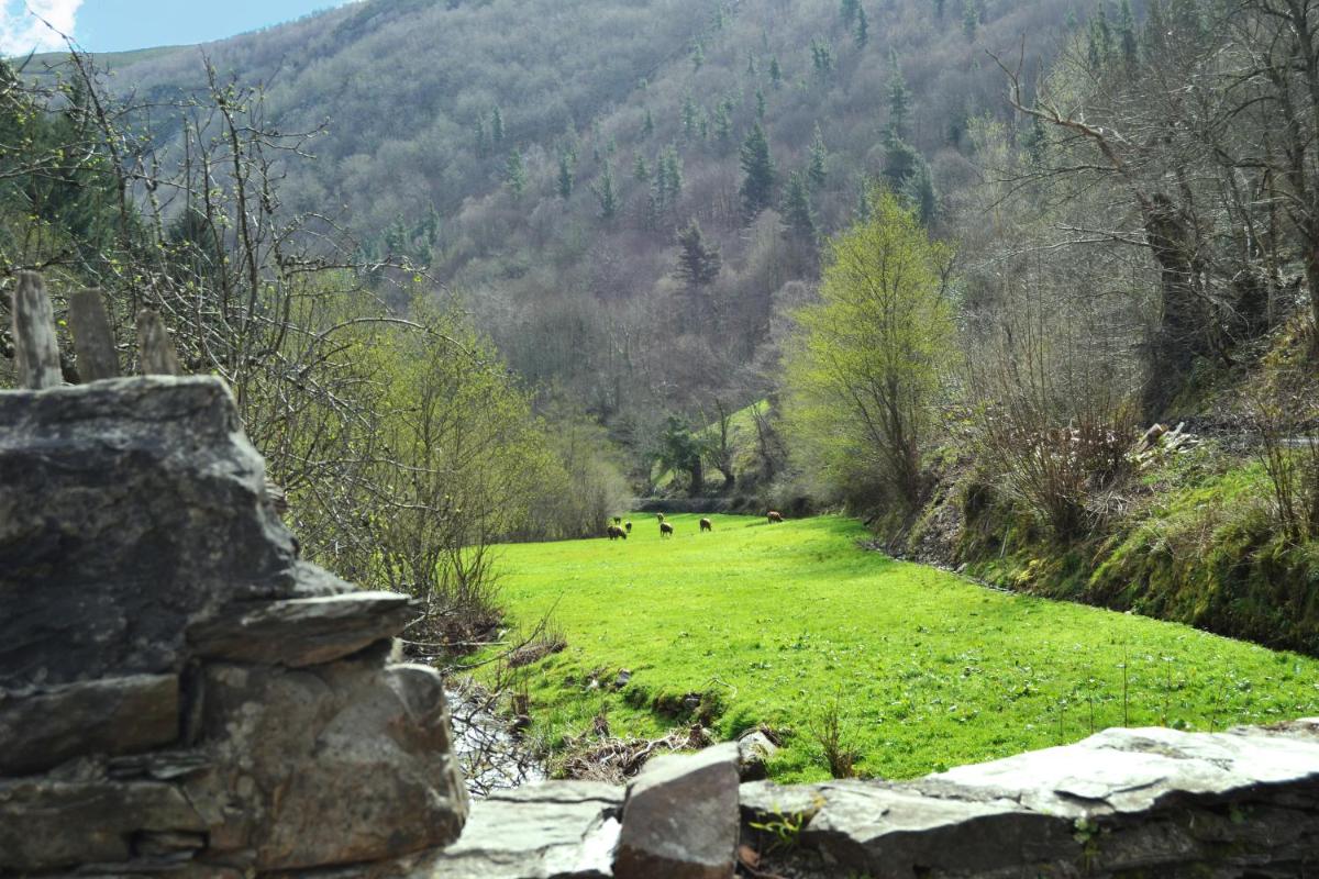 Paisaje cerca de este hotel