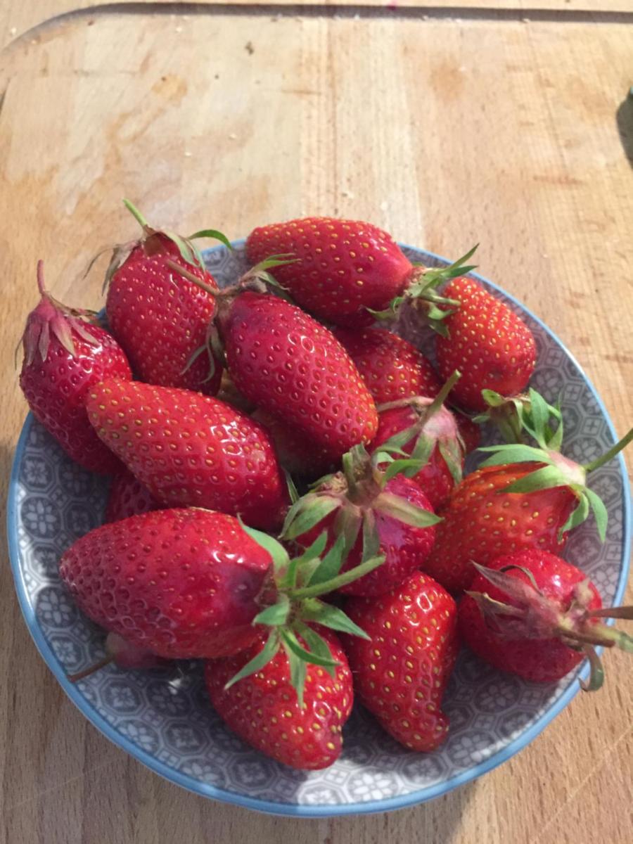 Le Bois Tableau - Housity