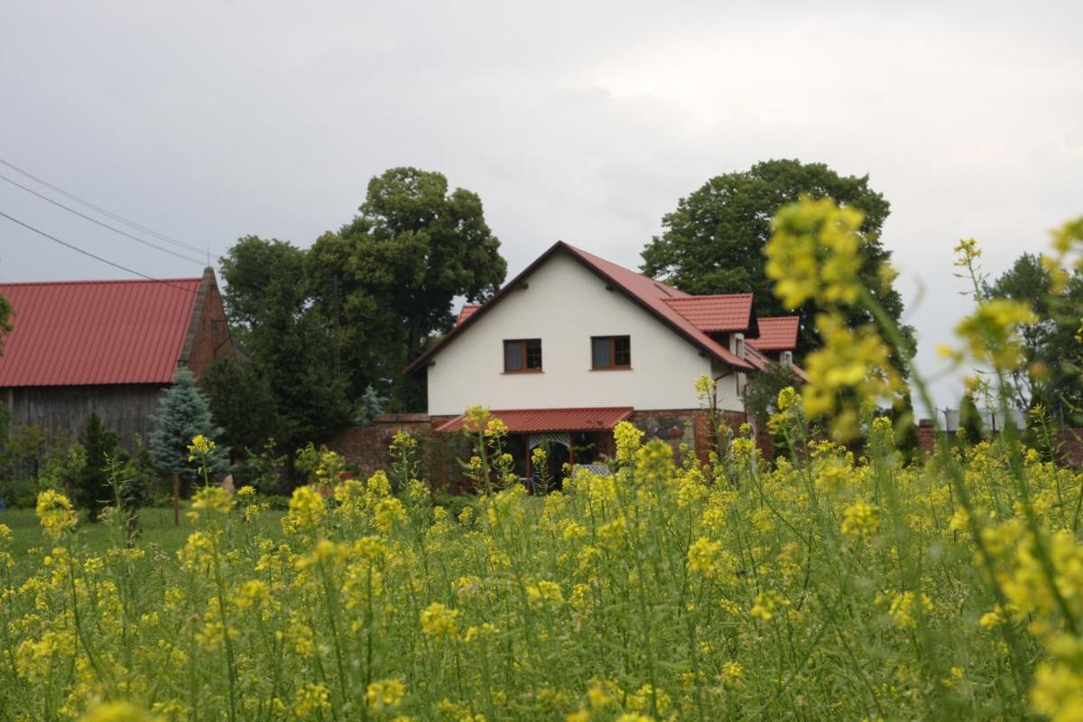 Buchmila - Housity