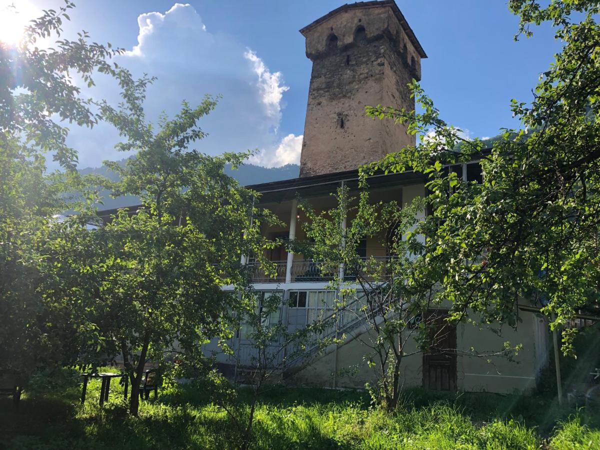 Ametapi - Housity