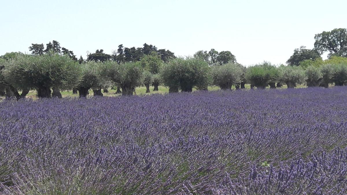 Le clos des vergers - Housity