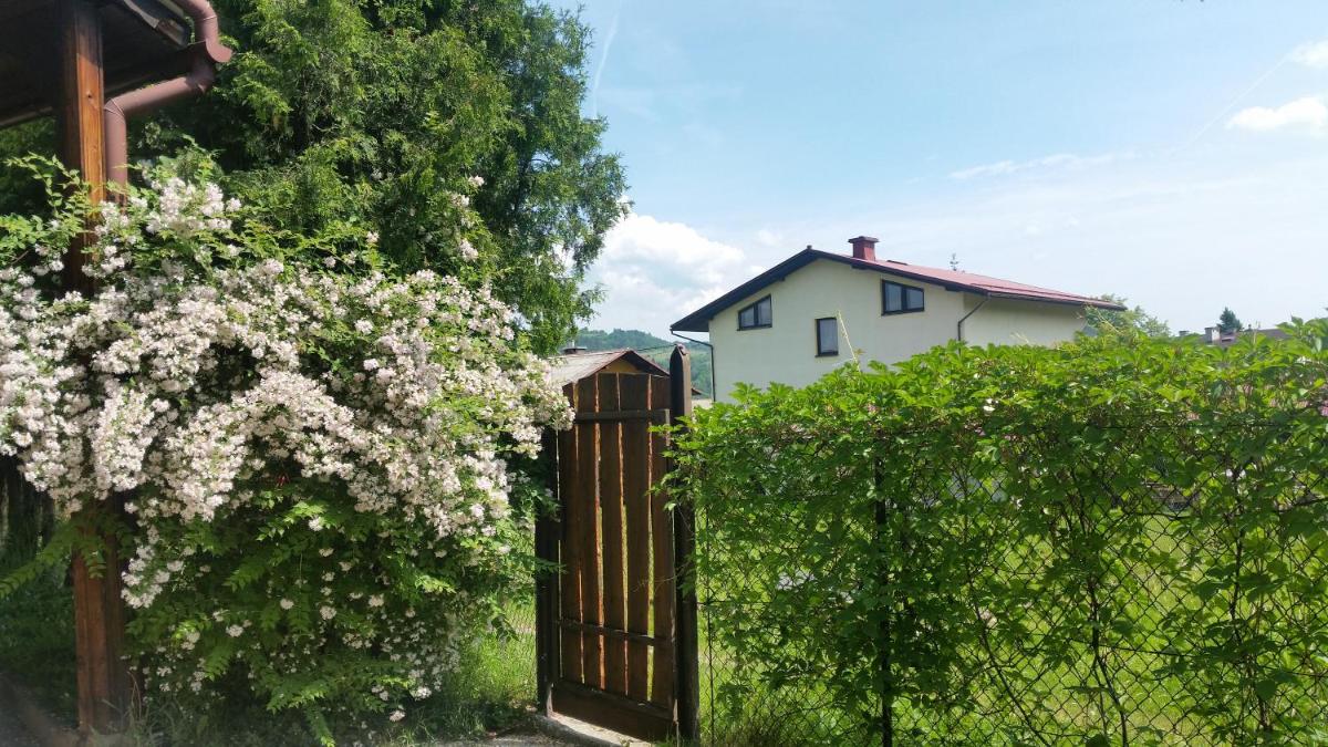 Świnna - Brzozowy Zagajnik - Housity