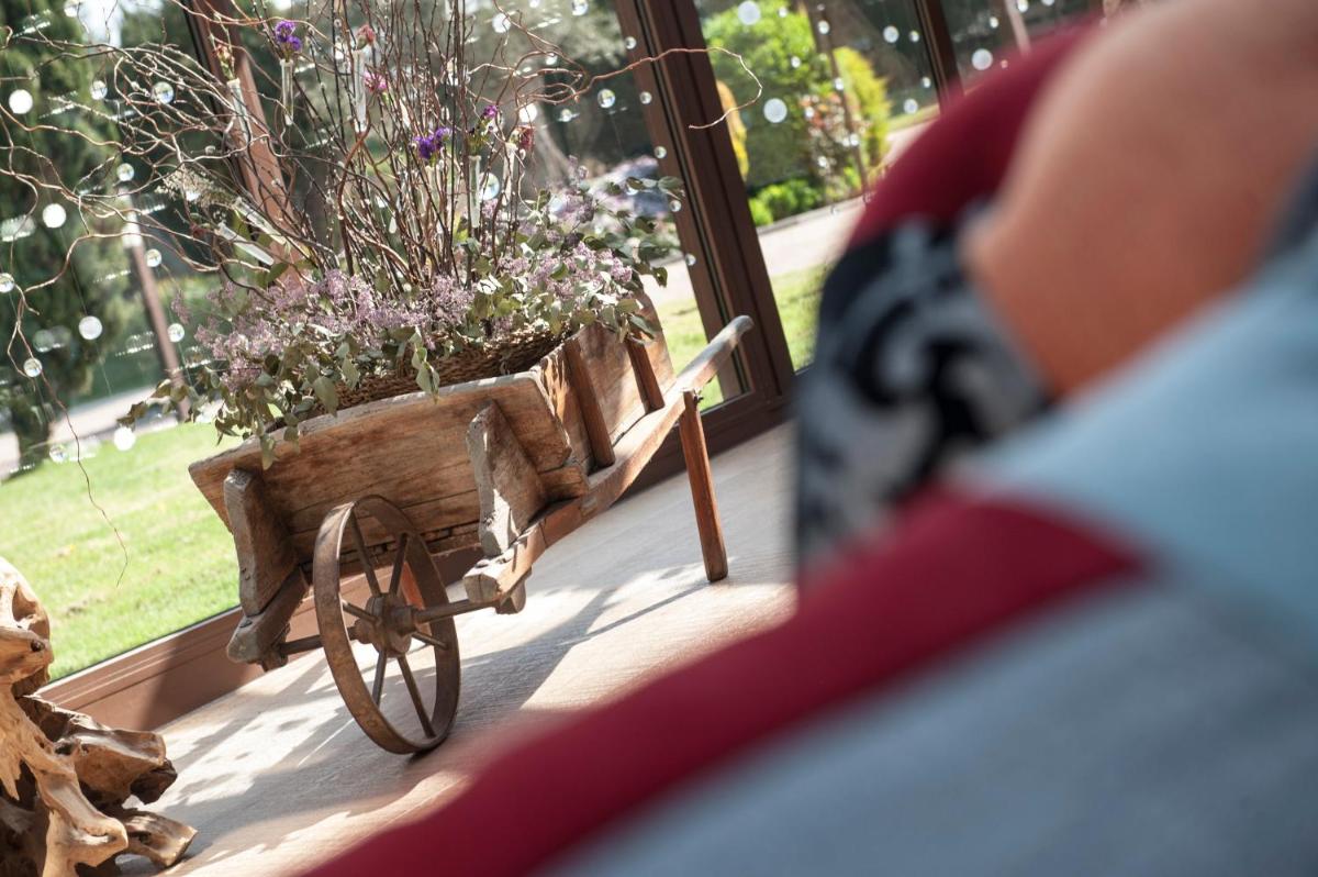 Animales en el hotel o alrededores