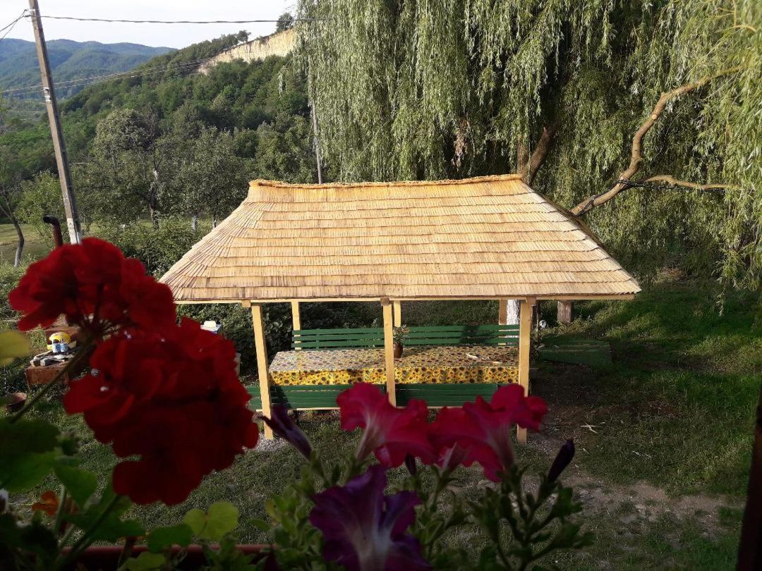 Cottage Poe - Housity