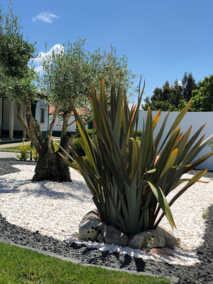 Paradise Valley House - Housity
