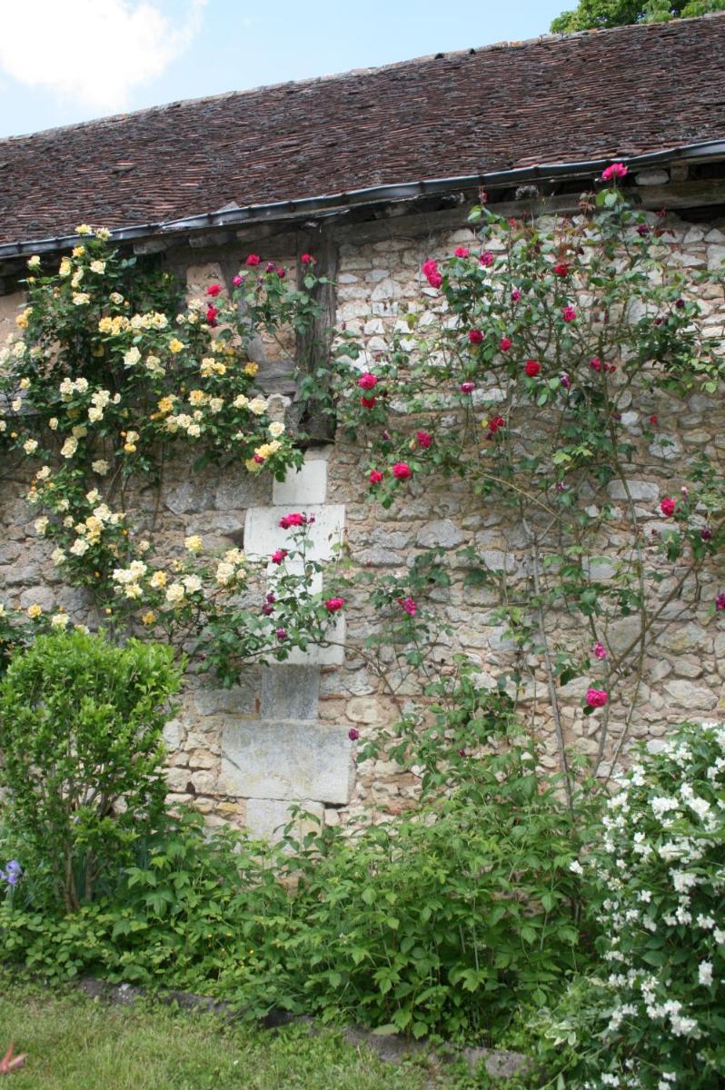 Ancien pavillon de chasse du château de Chaumont sur Loire - Housity