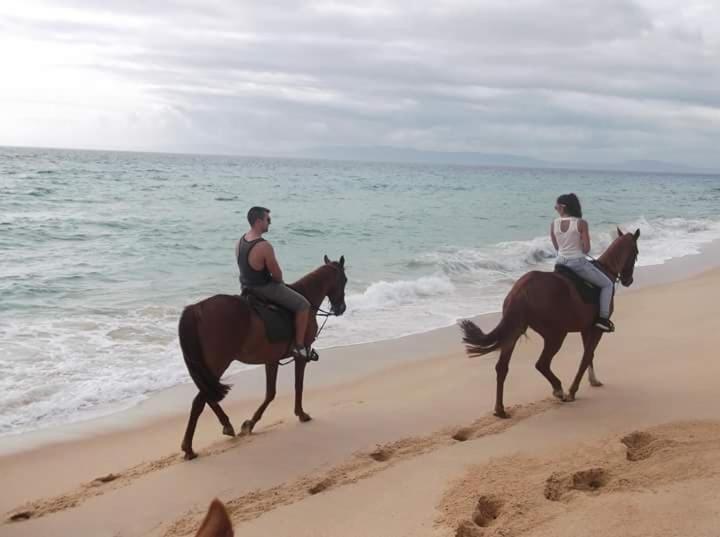 Monte da Cardela Nova - Housity
