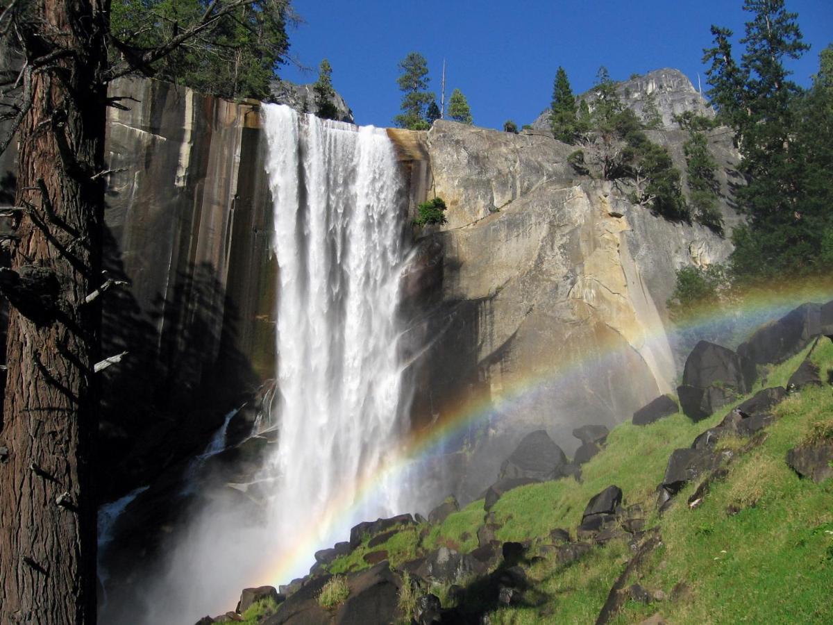 Yosemite Condominium - Housity