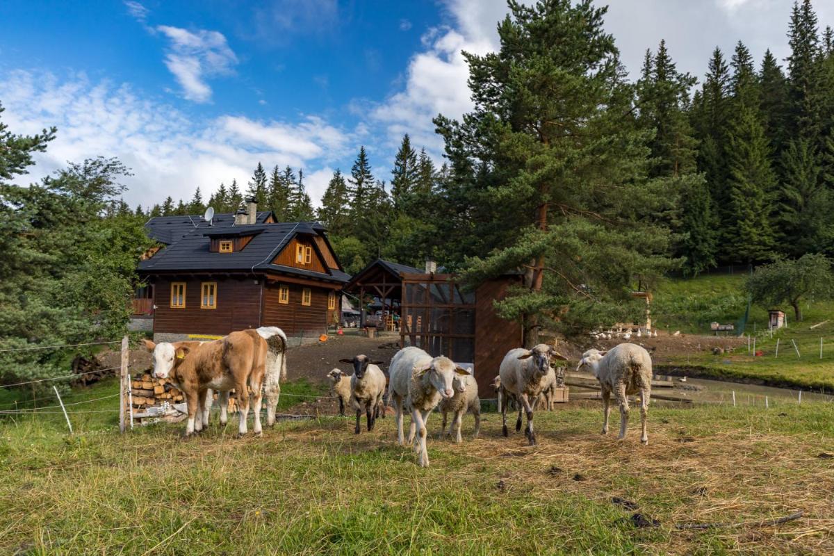 Statek U Rajmunda zemědělská farma - Housity