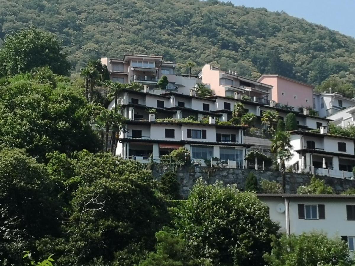 Brilago 1 - Housity