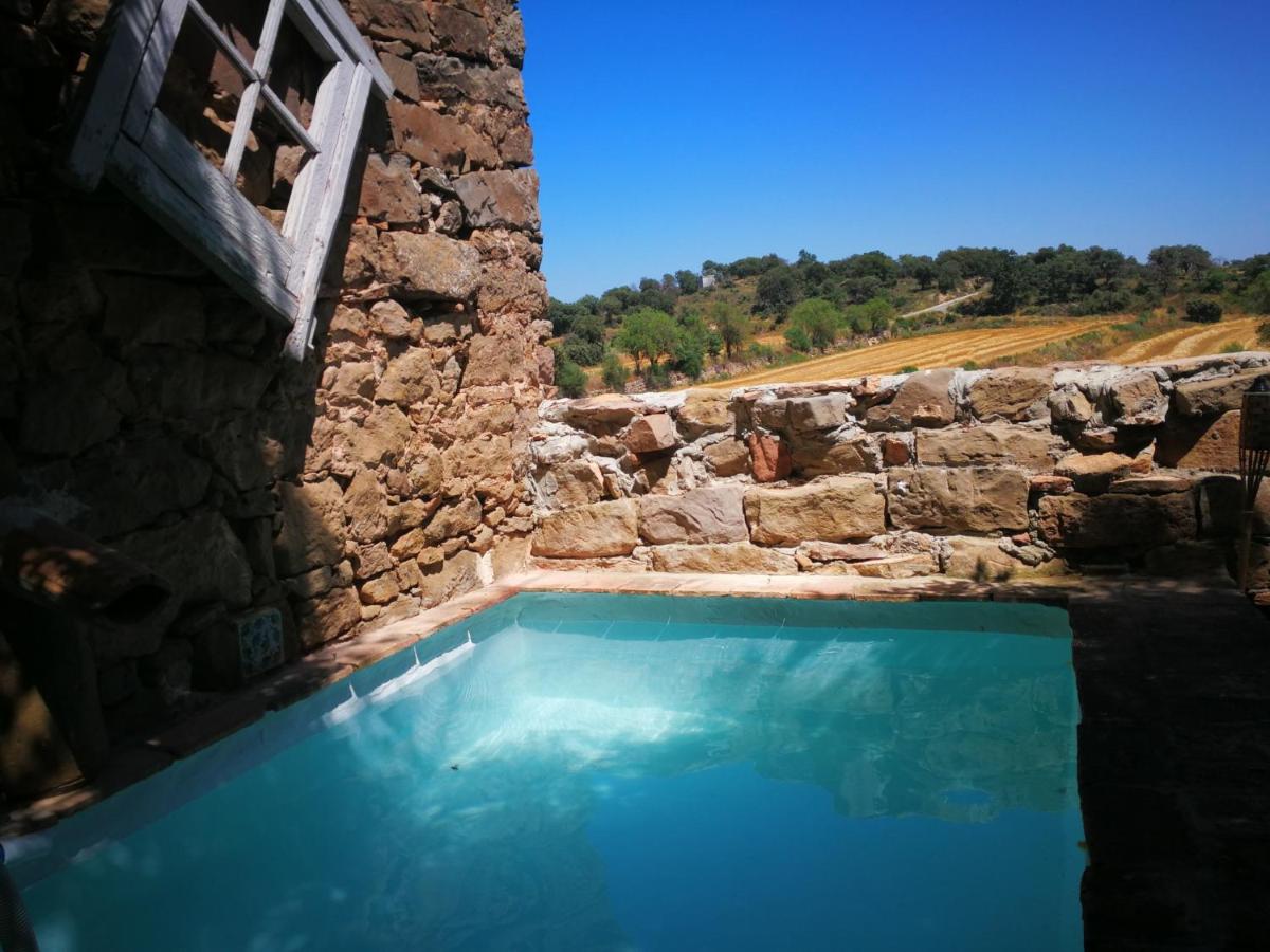 La casa dels ocells - Housity